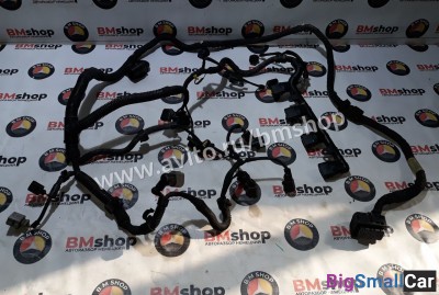 Проводка двигателя AXW, BLR, BLX, BLY, BVX, BVZ